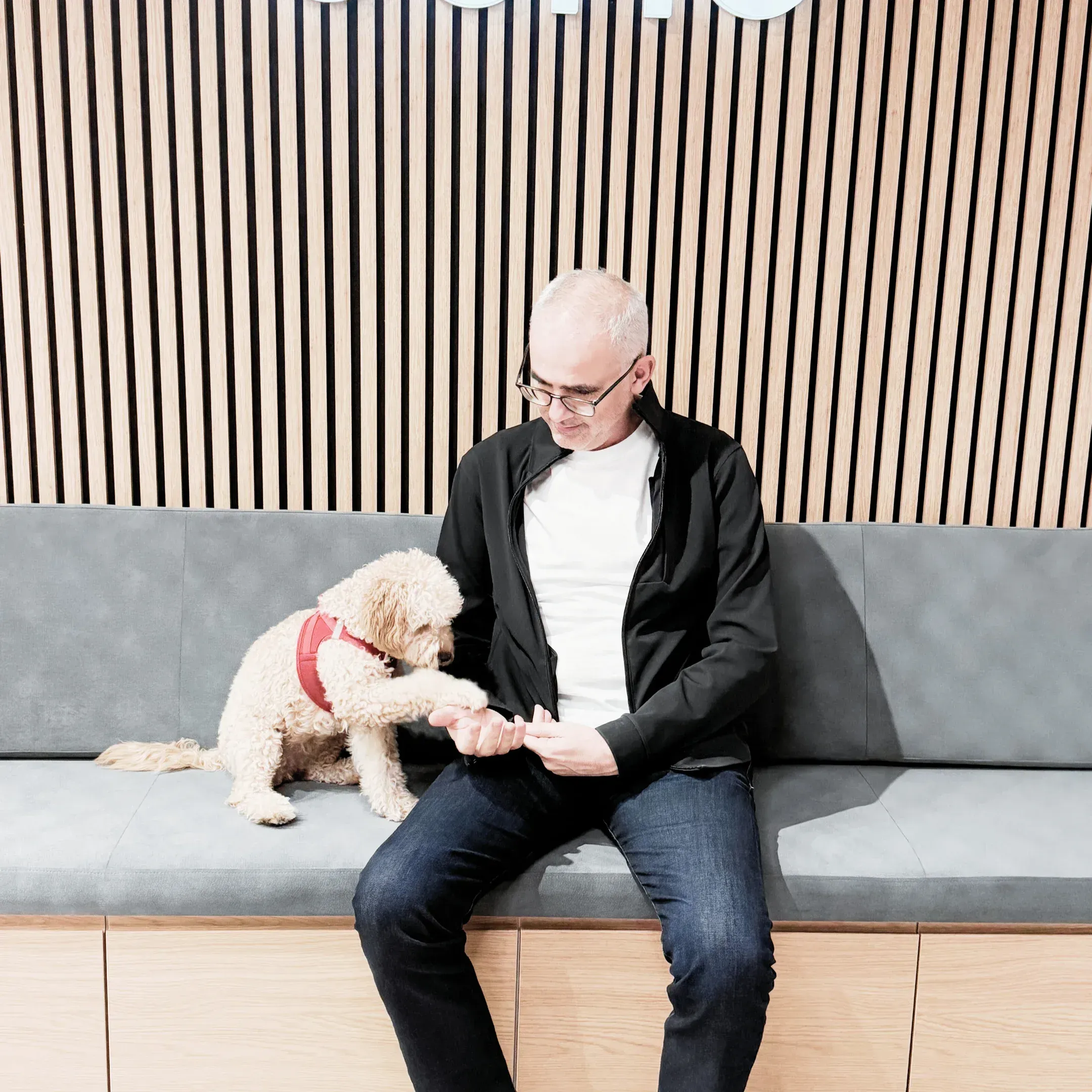 undefined - undefined