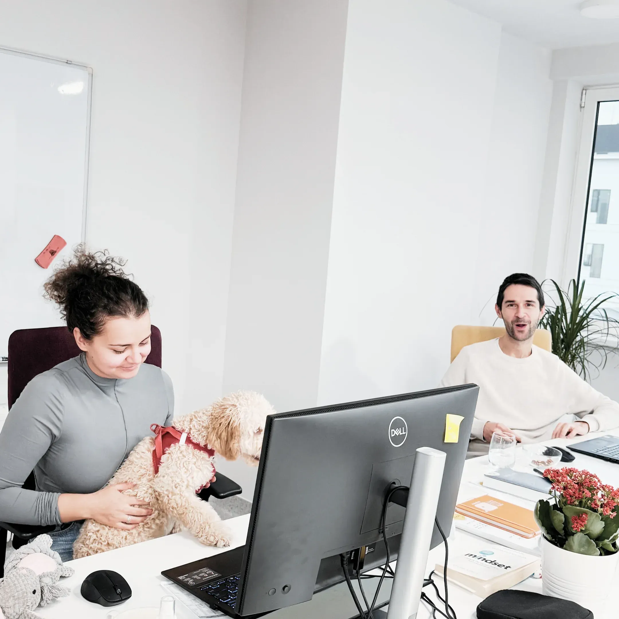 undefined - undefined